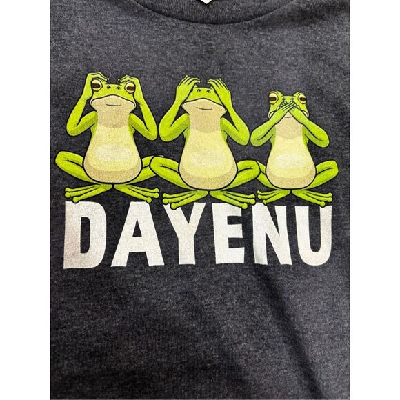 Passover Graphic T-Shirt Dayenu Green Frogs on Grey Background Unisex Large - Picture 1 of 5